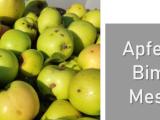 Apfelernte im Bimbacher Pfarrgarten